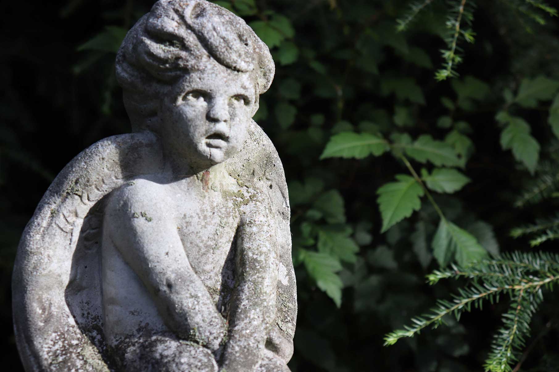 Angel Boy